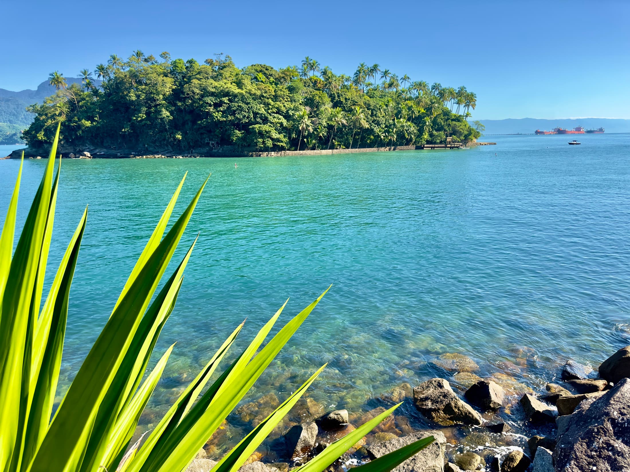 Ilha das Cabras vista da costa